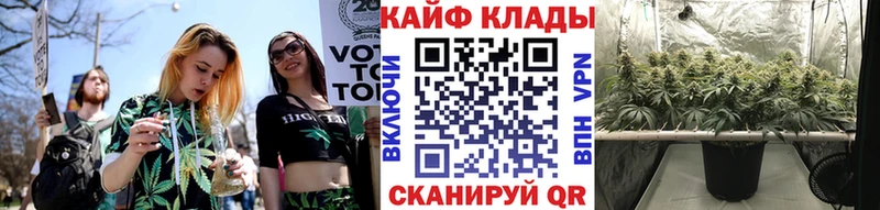 Хочу наркоту Кудрово Псилоцибиновые грибы МЕФ ГАШ A PVP