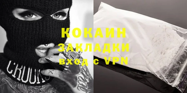 ГАЛЛЮЦИНОГЕННЫЕ ГРИБЫ Михайлов