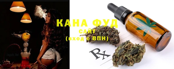 ГАЛЛЮЦИНОГЕННЫЕ ГРИБЫ Михайлов
