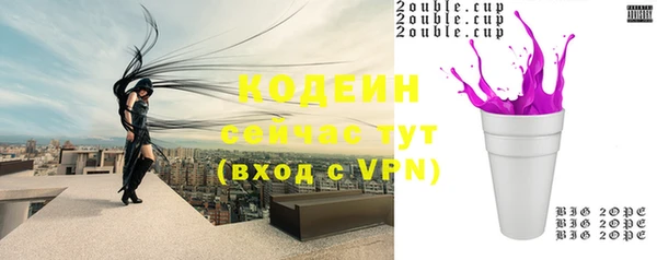 ГАЛЛЮЦИНОГЕННЫЕ ГРИБЫ Михайлов