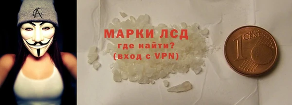 сатива Мегион
