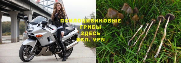мяу мяу мука Михайловка