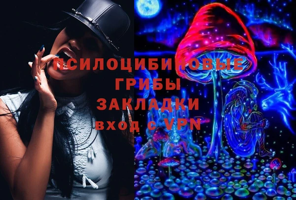 сатива Мегион