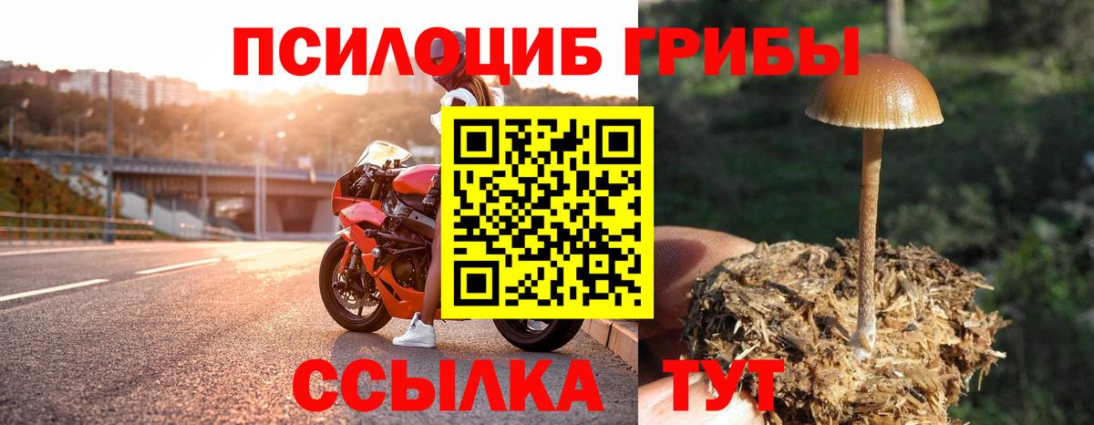 Галлюциногенные грибы Psilocybine cubensis Кудрово