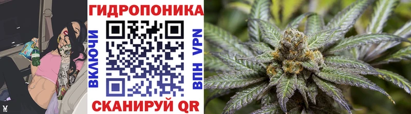 Шишки марихуана White Widow Кудрово